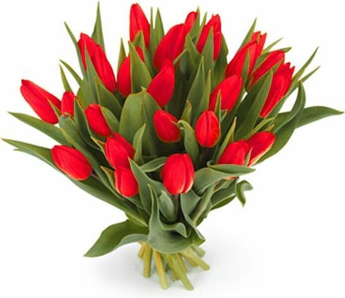 Boeket Tulpen Rood